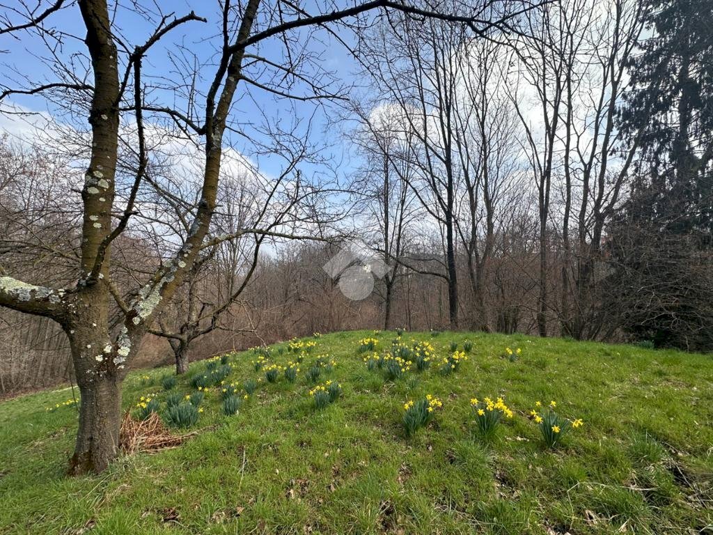 Bilocale Borgata baronera, Giaveno - foto 3