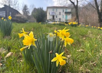 Bilocale Borgata baronera, Giaveno - foto 4