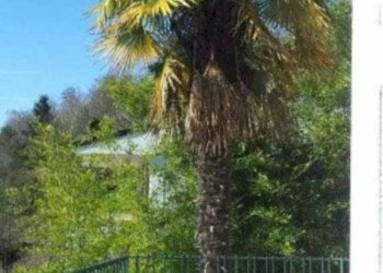 Villa Massino Visconti - foto 10