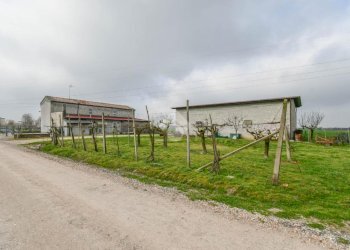 Independent house Via padusa, Poggio Renatico - photo 4