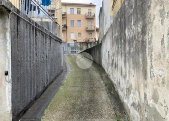 Box Via Roma, Collegno - photo 10