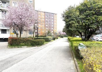 Trilocale Via Borsa Mario, Milano (zona Gallaratese) - foto 3