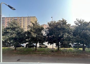 Bilocale Viale Lucania, Milano (zona Corvetto) - foto 10
