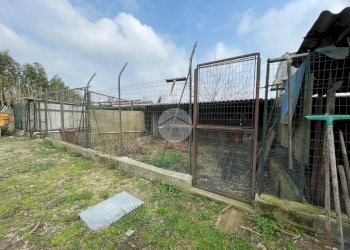 Rustico Via O. Bottego, Magenta - foto 12