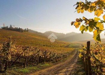 Appartamento Piazza Dante Alighieri, Gavi - foto 10