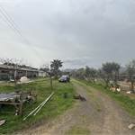 Warehouse Guspini - photo 3