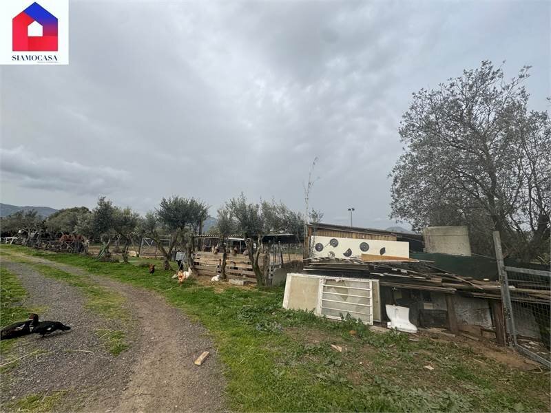 Magazzino Guspini - foto 1