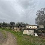 Magazzino Guspini - foto 2