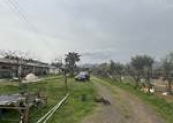 Warehouse Guspini - photo 3