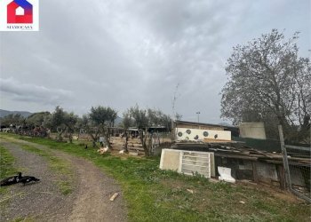 Magazzino Guspini - foto 1