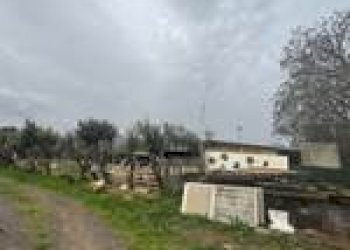 Magazzino Guspini - foto 2
