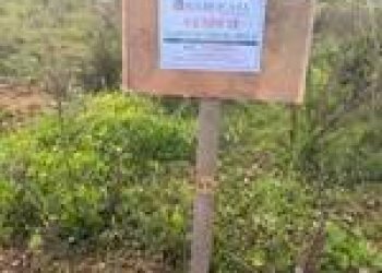 Terreno edificabile Villacidro - foto 4