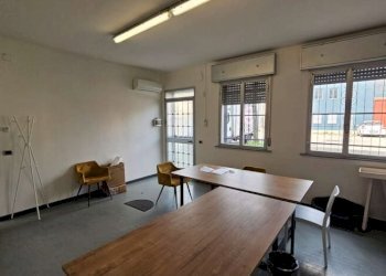 Capannone Reggio nell'Emilia - foto 2