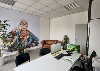Capannone Reggio nell'Emilia - foto 3