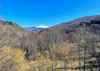 Appartamento Pievepelago - foto 31