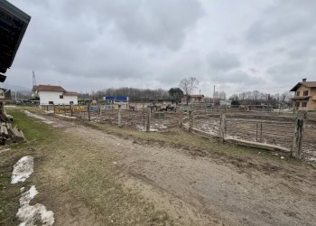 Terreno edificabile Via Giolitti, Cervasca - foto 3