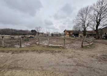 Terreno edificabile Via Giolitti, Cervasca - foto 4