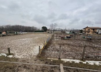 Terreno edificabile Via Giolitti, Cervasca - foto 6