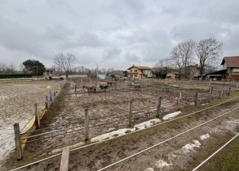 Terreno edificabile Via Giolitti, Cervasca - foto 7