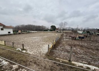 Terreno edificabile Via Giolitti, Cervasca - foto 8