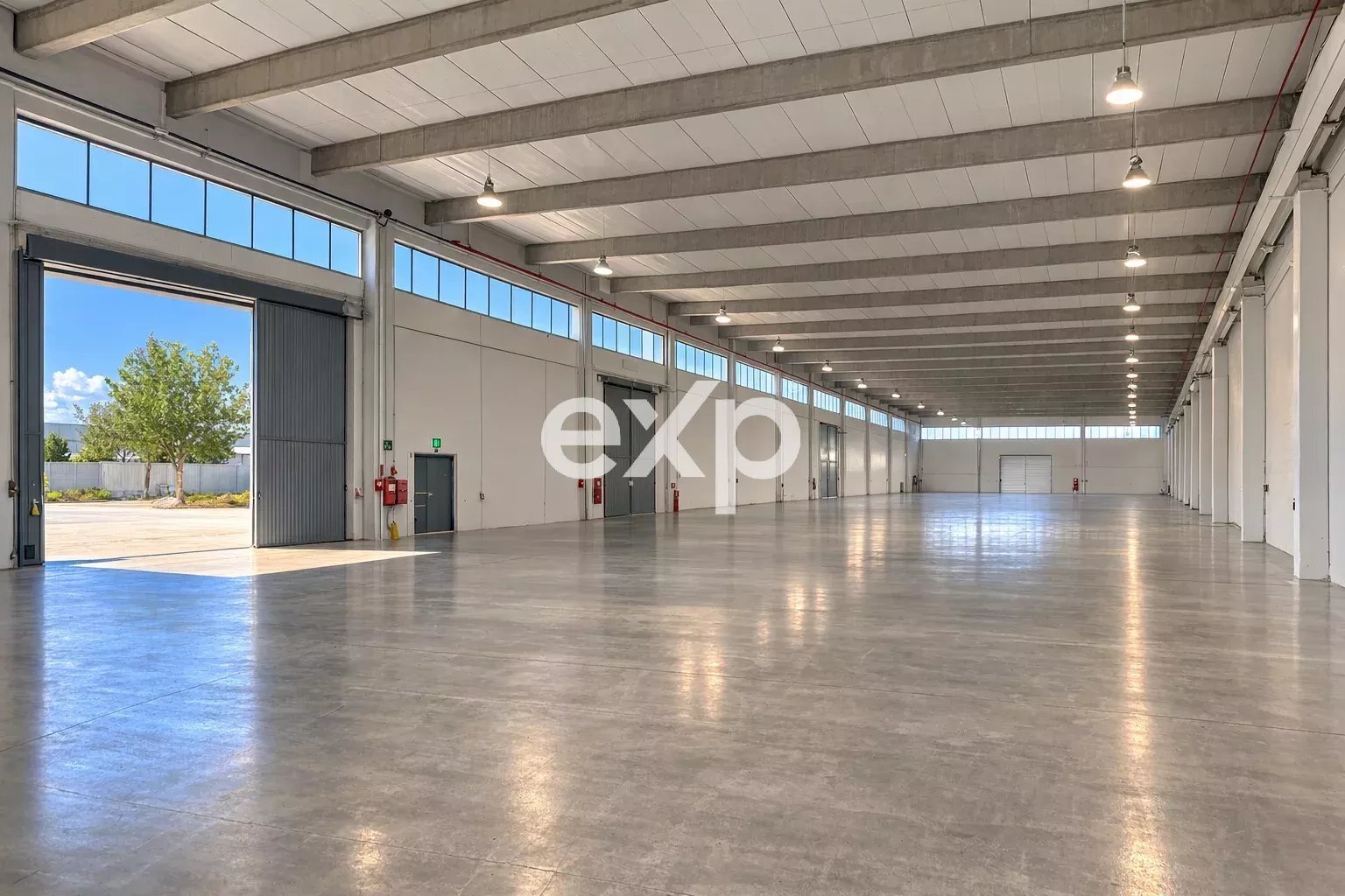 Capannone Andria - foto 3