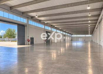 Capannone Andria - foto 3