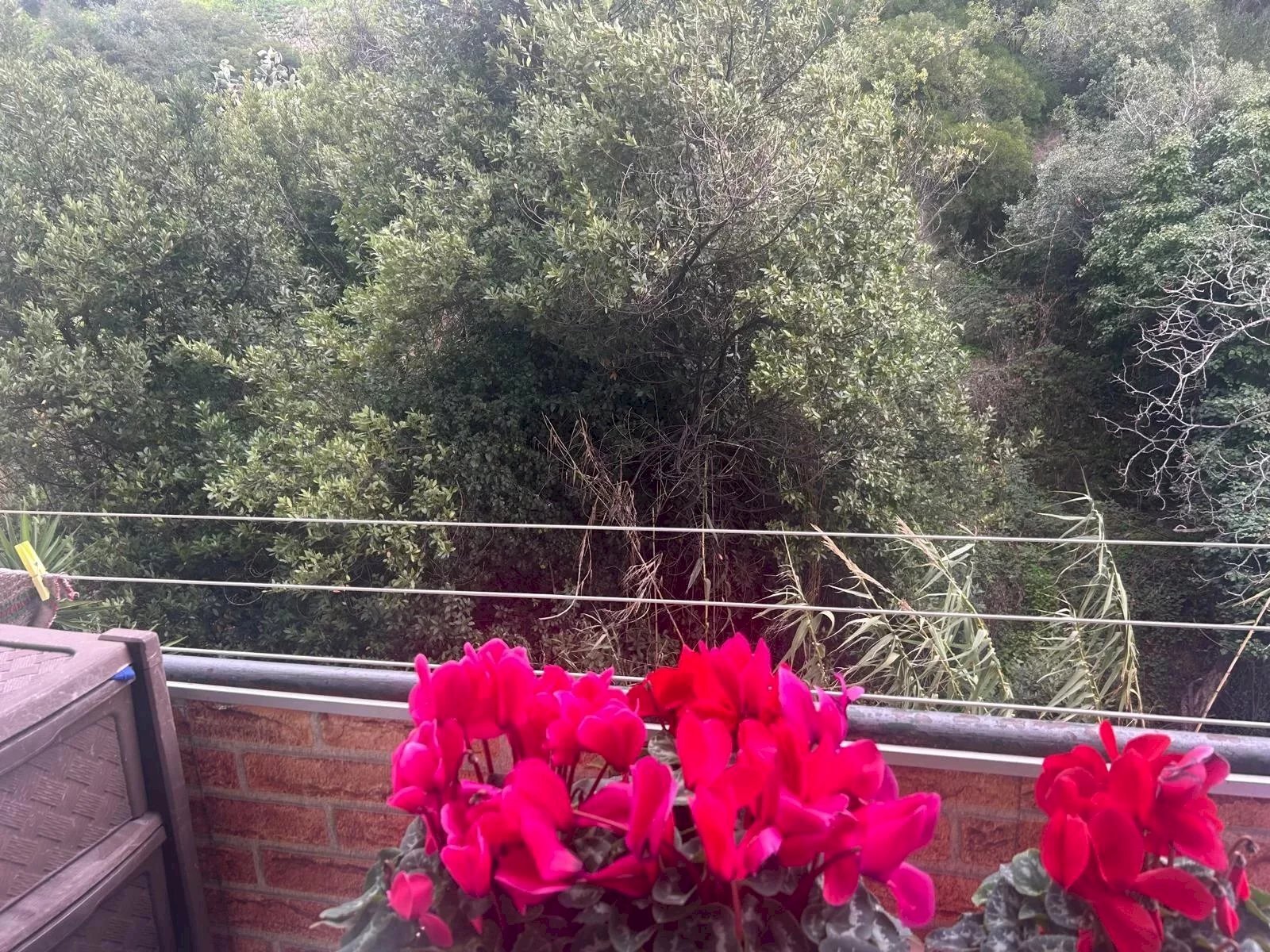 Trilocale Via Tenda, Ventimiglia - foto 3