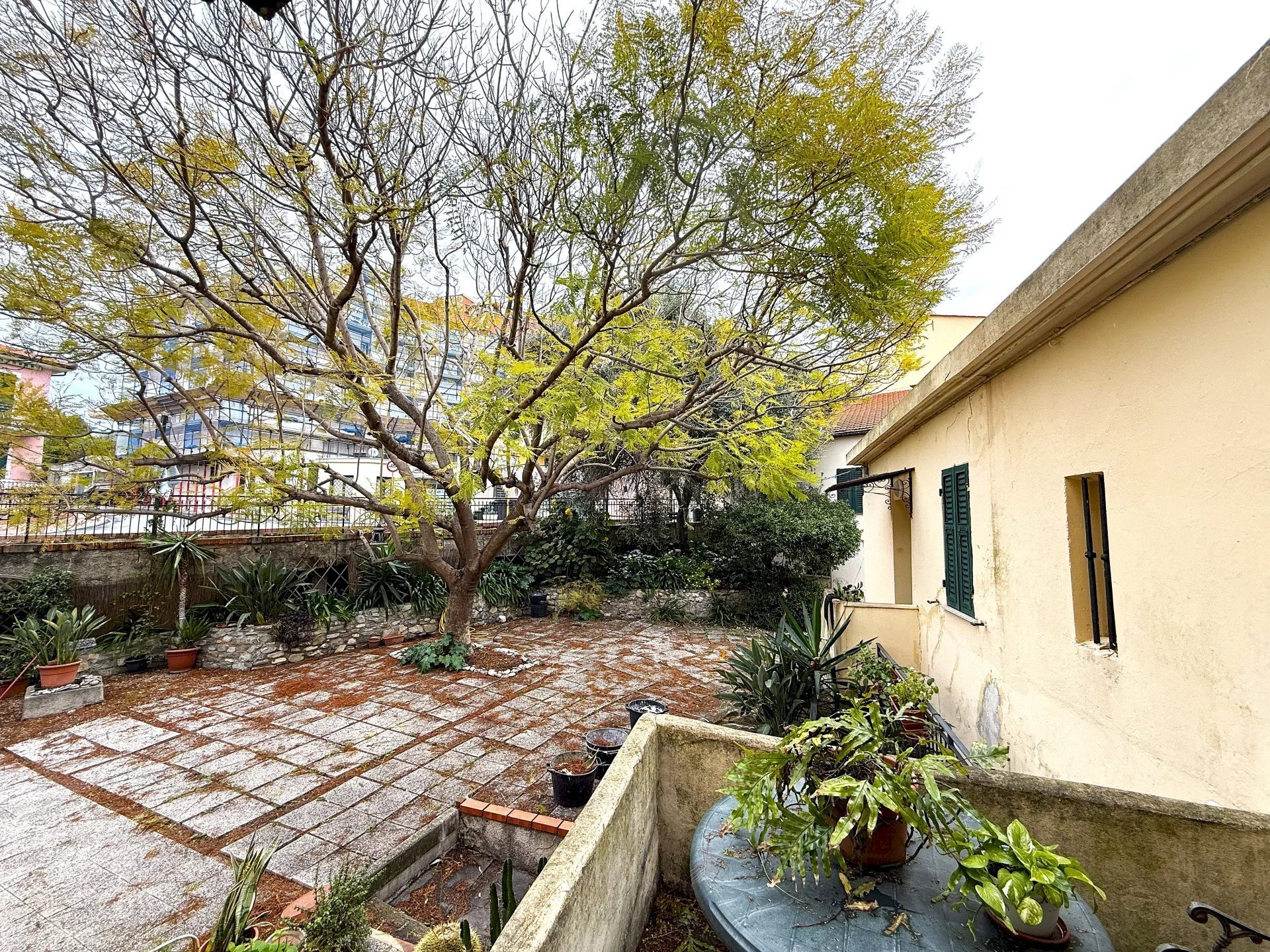 Apartment in Villa VIA AURELIA, Cervo - photo 3