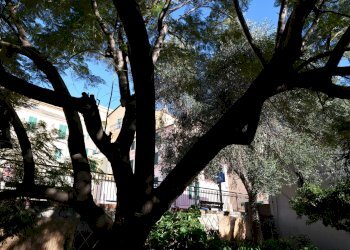 Apartment in Villa VIA AURELIA, Cervo - photo 97