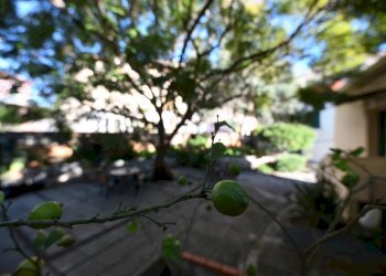 Apartment in Villa VIA AURELIA, Cervo - photo 100