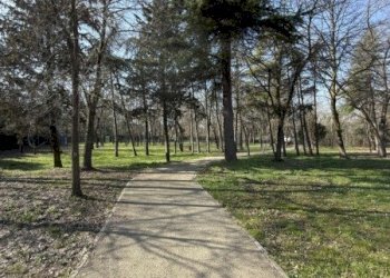 Bilocale via SPERANZA, San Lazzaro di Savena - foto 7