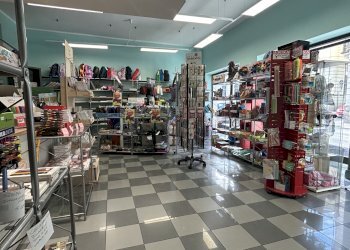 Locale Commerciale Alessandria - foto 5