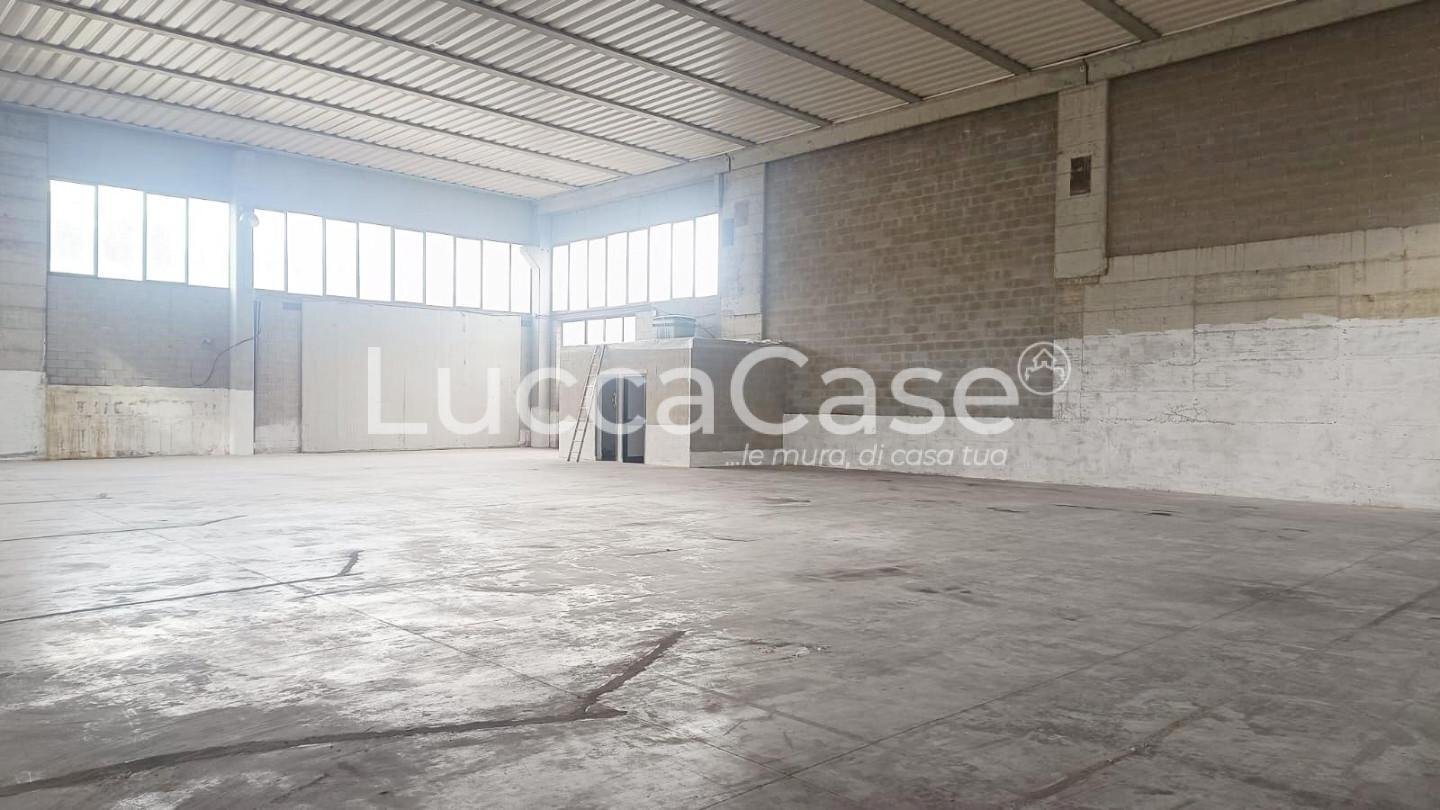Shed Pescia - photo 1