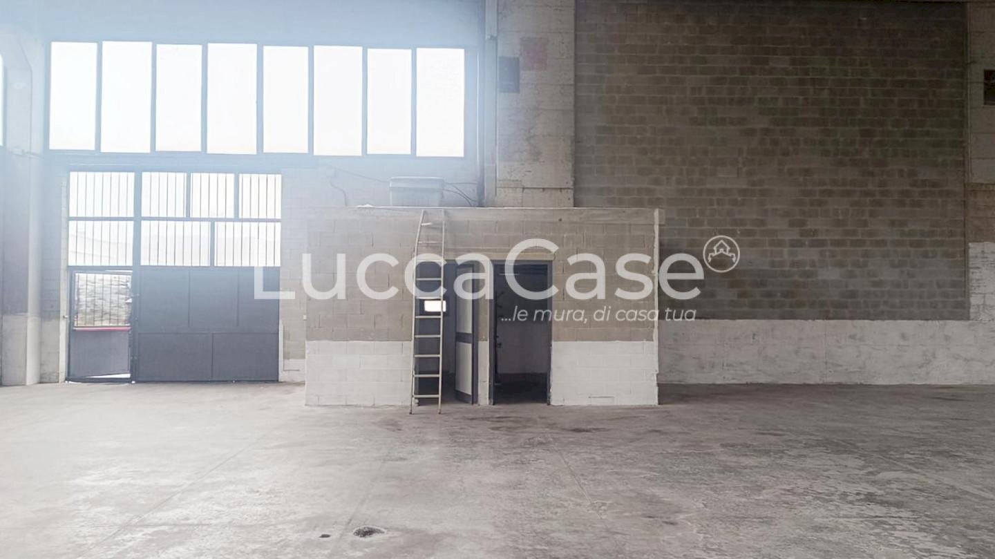 Shed Pescia - photo 3
