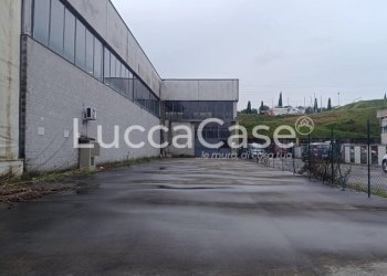 Shed Pescia - photo 5