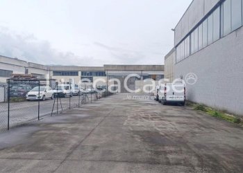 Shed Pescia - photo 7