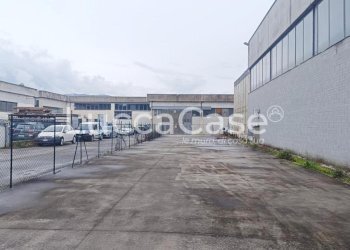 Shed Pescia - photo 8