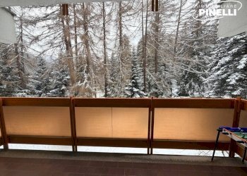 Appartamento Pollicino, 10, Bardonecchia - foto 20