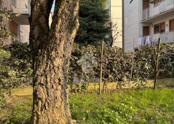 Quadrilocale Viale Abruzzi, Cesena - foto 29