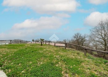 Casa indipendente Strada casa sandrini, Langhirano - foto 2