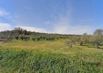 facciata - Terreno edificabile Via del Vallone 37, Rosciano - foto 3