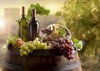 vino-bottiglie-vigneto-vite-uva-filiera-by-pfpgrou - Agricultural land Castelvetrano - photo 6