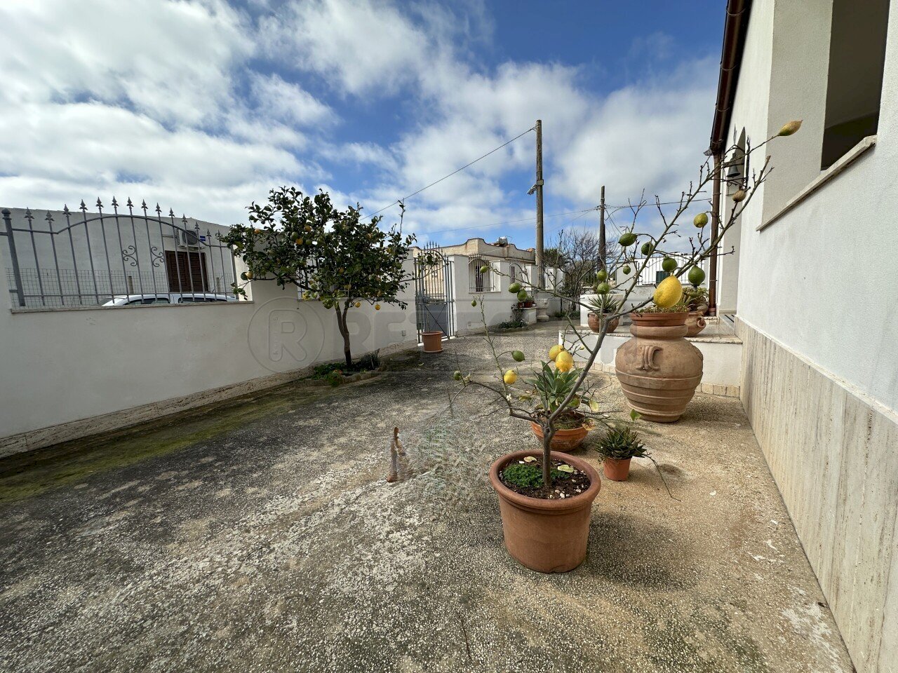 IMG_0075.JPG - Villa Campobello di Mazara - foto 3