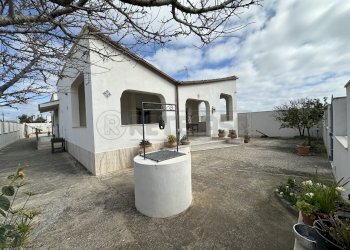 IMG_0060.JPG - Villa Campobello di Mazara - foto 1