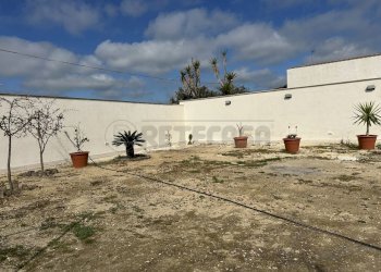 IMG_0067.JPG - Villa Campobello di Mazara - foto 13