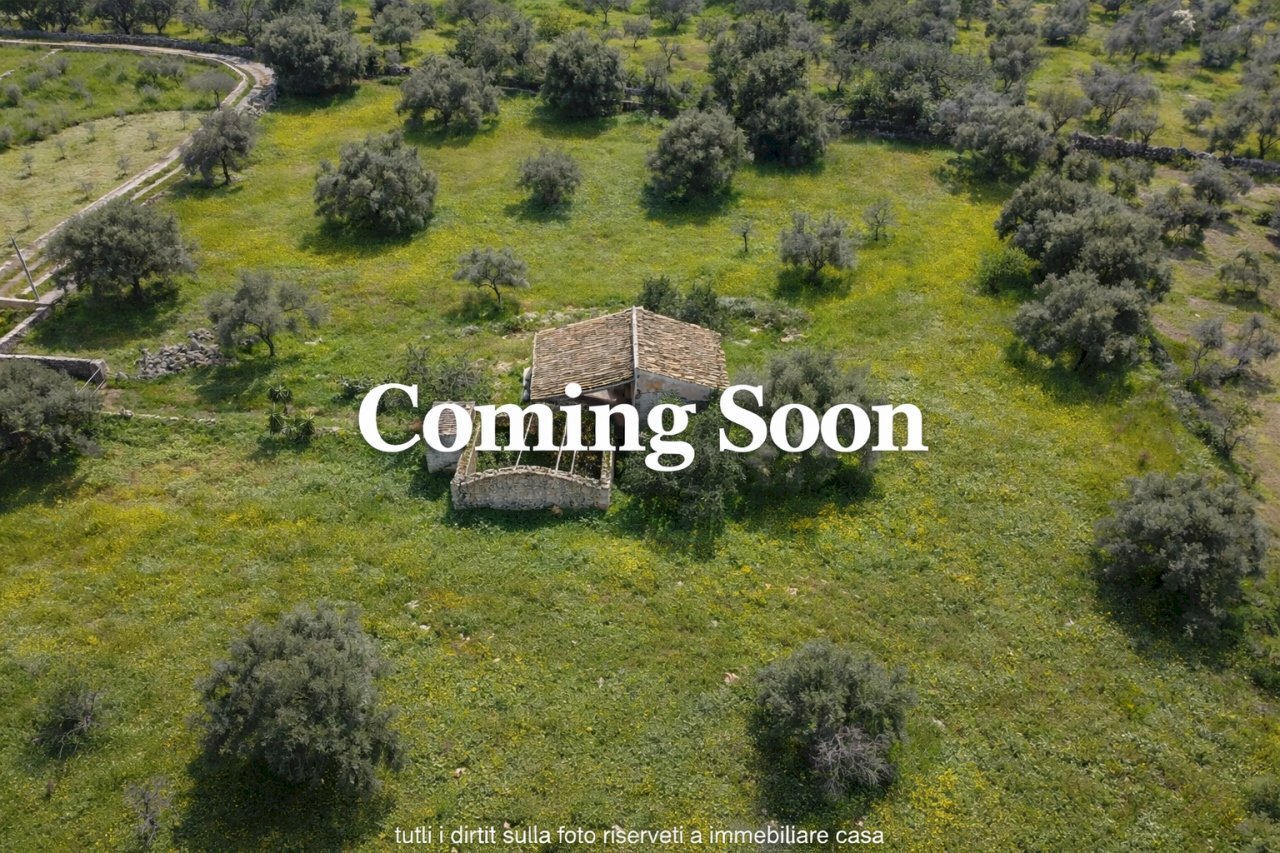 casalino.png - Terreno agricolo Cavasecca, Noto - foto 1