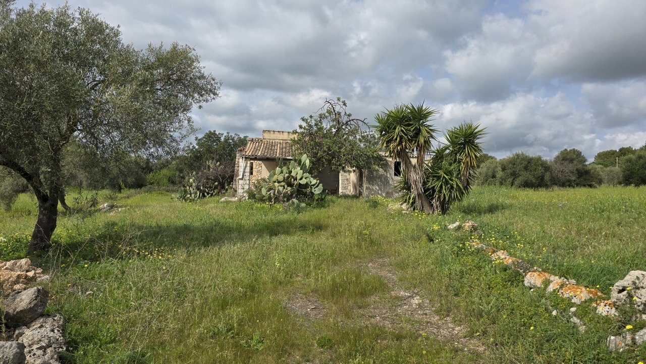20260303_110146.jpg - Terreno agricolo Traversa Grotta Perciata, Siracusa - foto 1