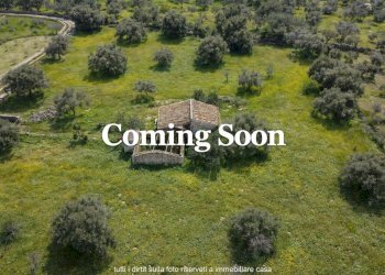 casalino.png - Terreno agricolo Cavasecca, Noto - foto 1