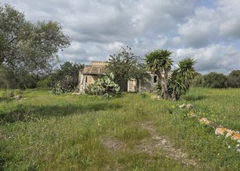 20260303_110146.jpg - Terreno agricolo Traversa Grotta Perciata, Siracusa - foto 1