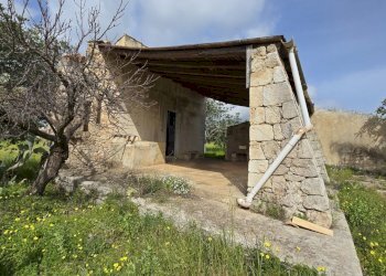 20260303_110253.jpg - Terreno agricolo Traversa Grotta Perciata, Siracusa - foto 6